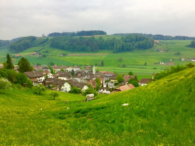 0CA43E7A-AD44-4E0E-BD7F-3A7A320B6D82