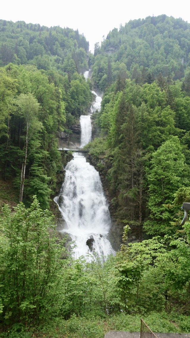 114BD082-E060-42A8-AFDA-205F174B1E9B