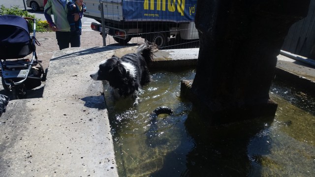 1BFF6581-8410-4F0A-B1E3-EAD5FE2E9444