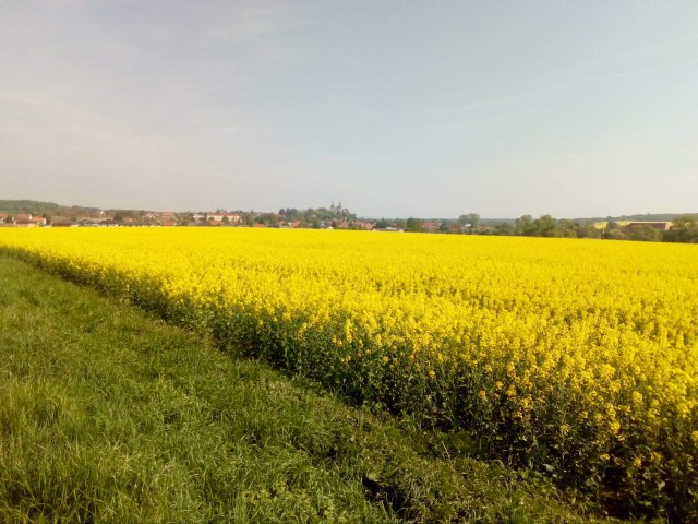 1F072C92-AB59-4A65-931E-0FC07D7D4ECD