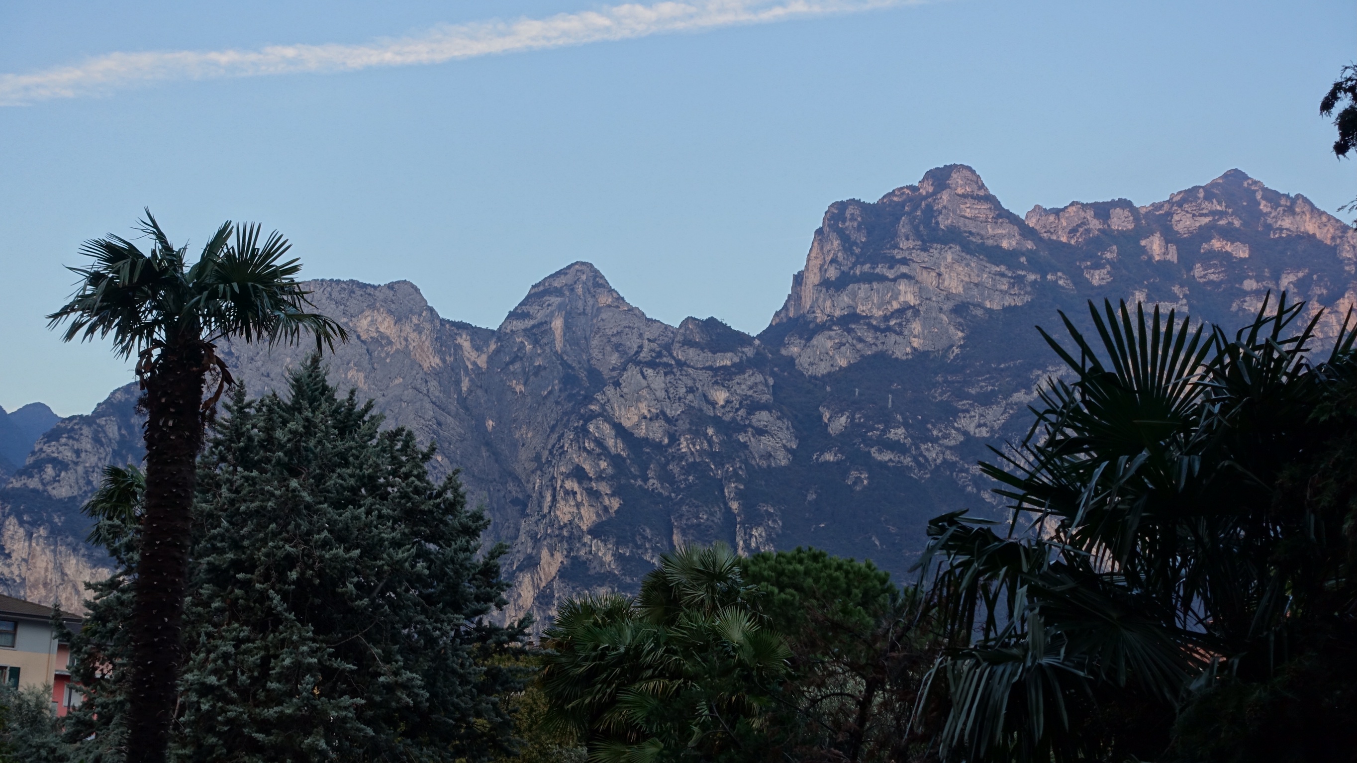 357D21C2-03E0-45FE-86CC-3B888A5D54A4