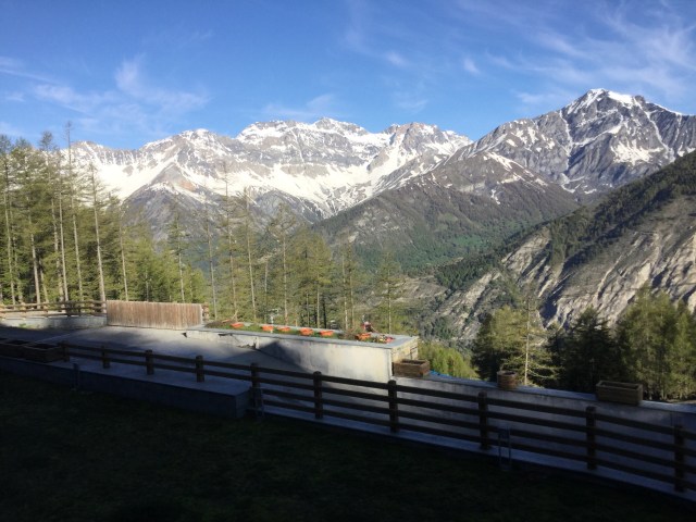 3C9AB09A-A421-43AE-A8B2-1C088A65815F