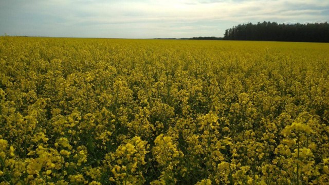 3CAEA9C1-9CAE-4338-B0A1-39599668ECE7