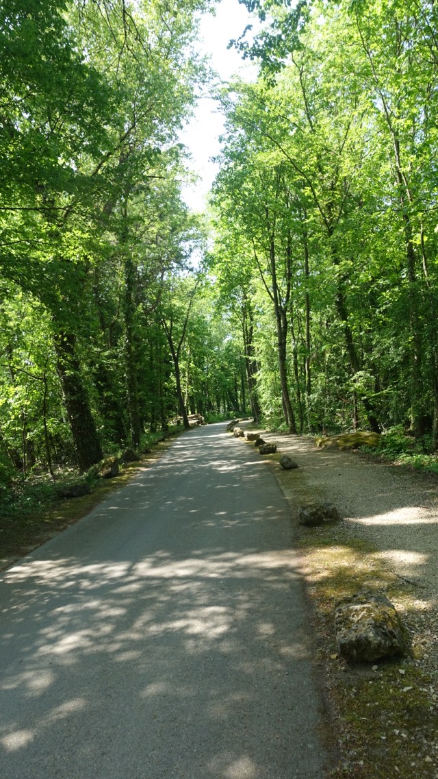 3E147A37-D0ED-43E6-8D70-F05A9BE00579