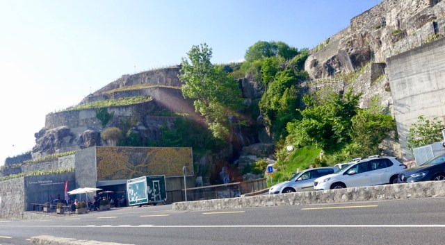 4B732BF5-28E7-4B7A-9189-168F749473DB