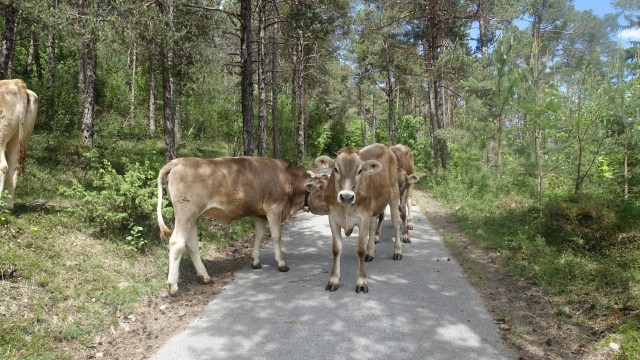 587A7941-AF49-4041-9859-C618D1F9BE24