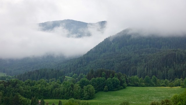 72D3987B-4428-40C5-94F2-E2F1FE825B5E