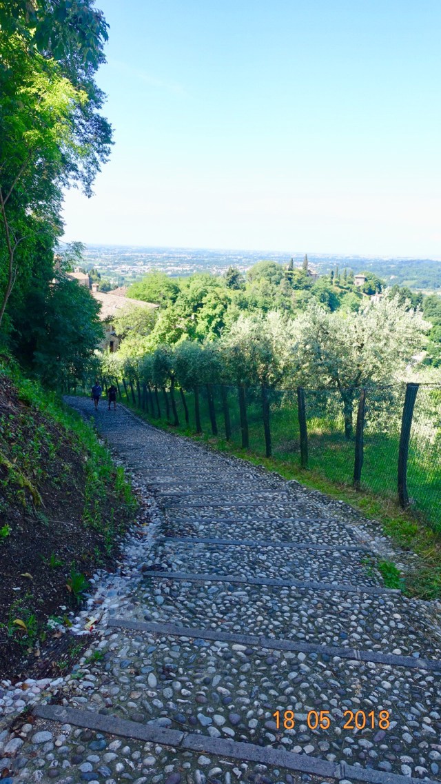 75F10C93-E0E4-4B38-949F-5C9595BD054D