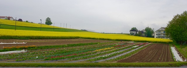 85EBAF26-D94F-494D-9F93-6EAF0317F498