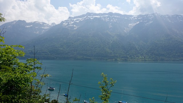 892A9F32-317A-42A9-9A89-174C21A5F3E7