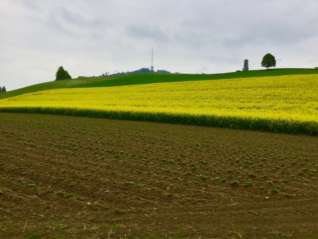 8BC83113-26CE-437C-B89B-C5A74672B52E