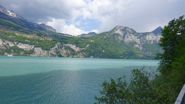 8EF9F25D-C698-4D7A-8078-5D840A417E41