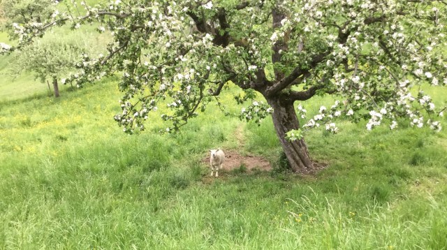 9555AA58-7E44-46C6-B3E5-40B13CF654B6