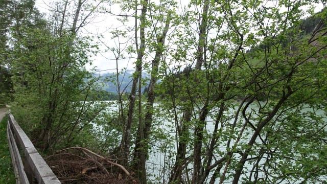 98086BFE-7AA2-47F1-BBE8-F4AF1144501E