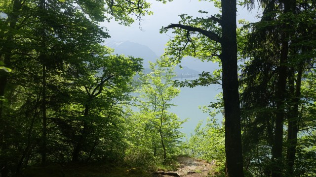 99028A1D-5932-4635-860D-CC7BD8249FF1