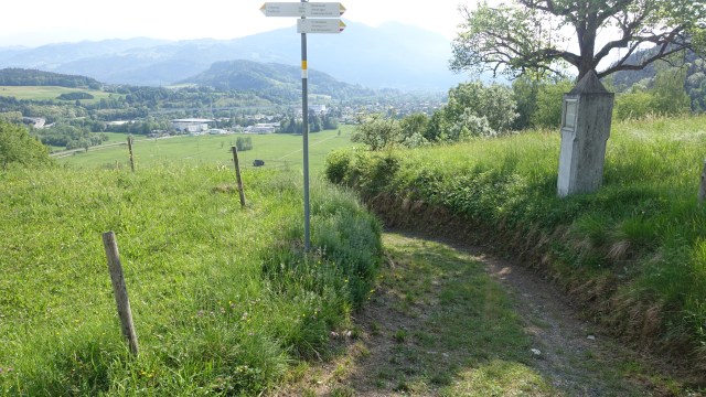 9B484234-C274-4B65-8C2F-10552E3D3DFE