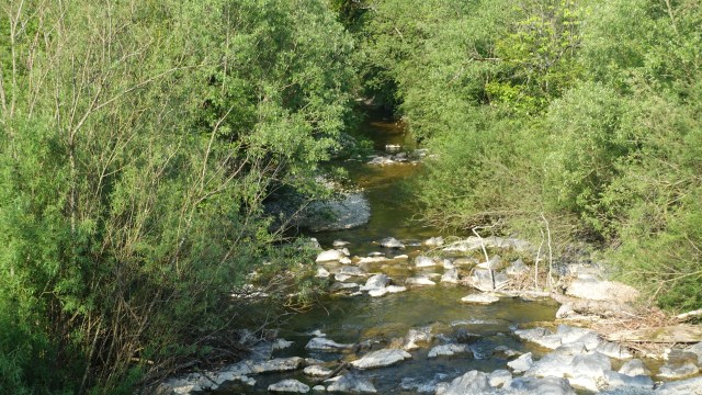 A6430A43-8004-4242-95A3-A3CA09AE47CF