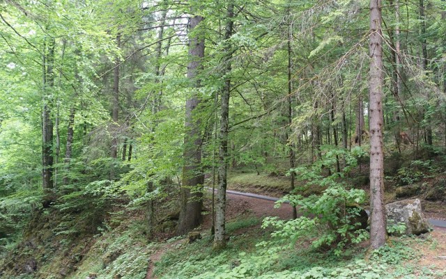 A7710F8A-A803-4A02-8C39-69C57C65F4F0