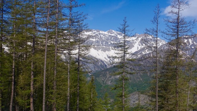 AFD1FDB2-73F5-4288-8FC9-A00850C5D55B