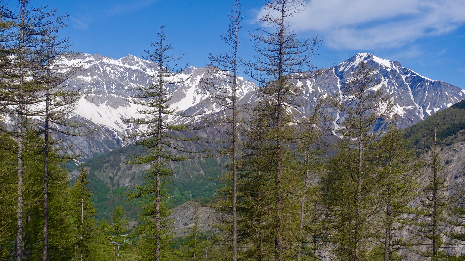 BAA0E6BF-8151-4363-AA19-E25E9F9A77A9