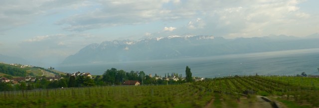 BE6391C7-669D-4F31-AF99-EBAD624F63BC