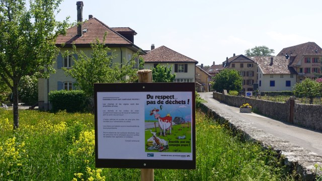 C239216C-B514-412D-A9D1-99B38855499B