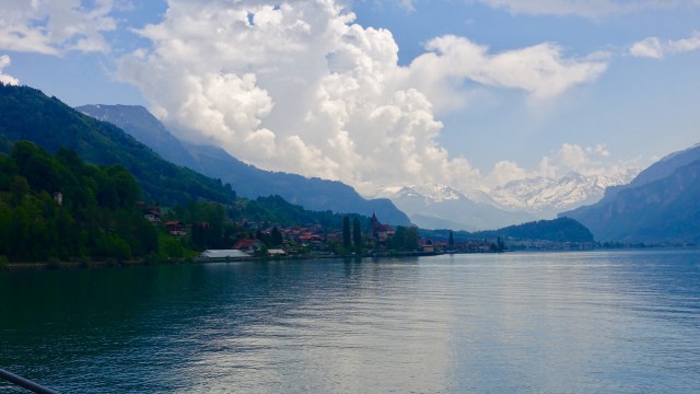 D3D9363E-29C9-48E1-80A0-B60F906CF79A