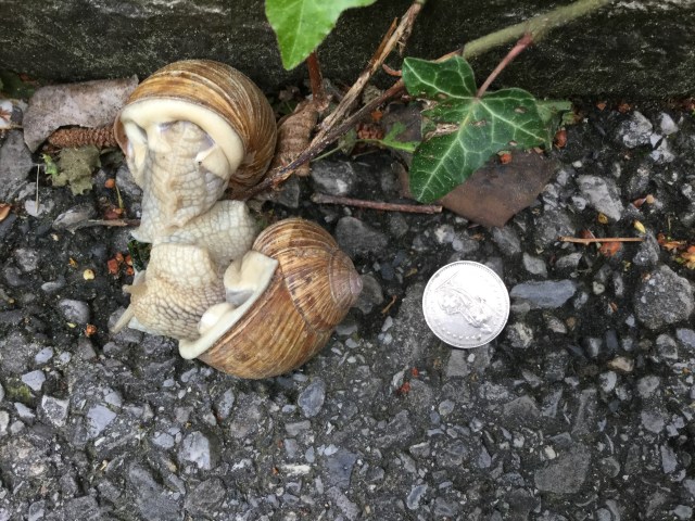 D3FBEB02-AC8C-4E47-9CE4-A75FE6C14746