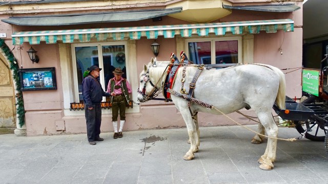 D61ADE47-1C1C-4CE8-8D81-C40D05BE79B0