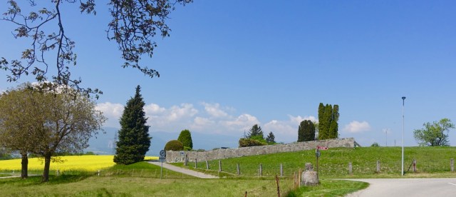 D6CFF9B0-B259-41EC-B7B9-FD234287A5FD