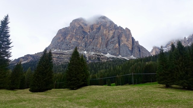 DA94E0C3-65AF-46D0-AD9D-86634B59F7F0