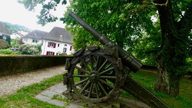 E0033AE1-AC6F-4F7B-9FD0-406F61282EF6