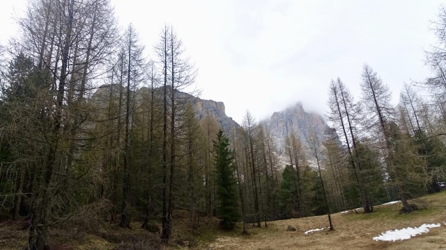 E1145FD1-4511-4B00-BD1B-621F6BB66C73