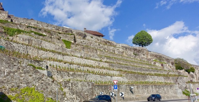 E1E60E7B-5050-41D8-9D6A-D65C5F9494FC