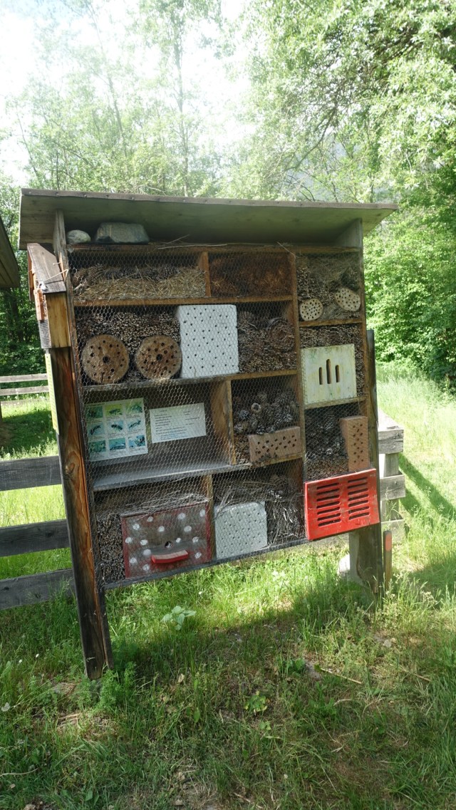 E276CDA5-5CDB-45CF-8905-8E2E7C47EB74