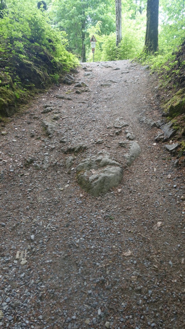 E5BE7BD0-88F8-491C-AE4C-8EF7F351DC08