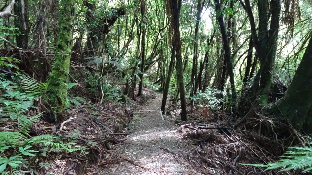 0711CE9B-E14C-4275-B46D-35E3C8344A56