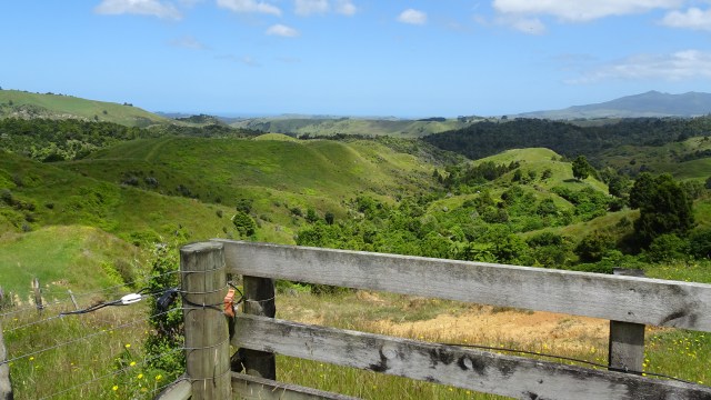 081AB760-FA0A-4ECC-ACF2-7F5E4BEE9C4A