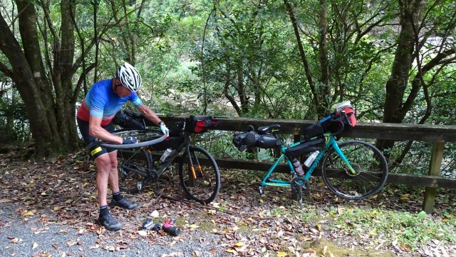 09BDB2DD-4C4D-42E2-8C72-80AE3A816DBB