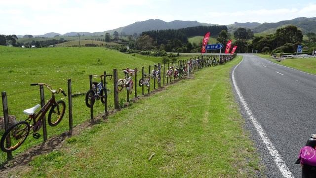 09C53CAD-83EC-4CDA-9FB3-8ED8DAB34DC8