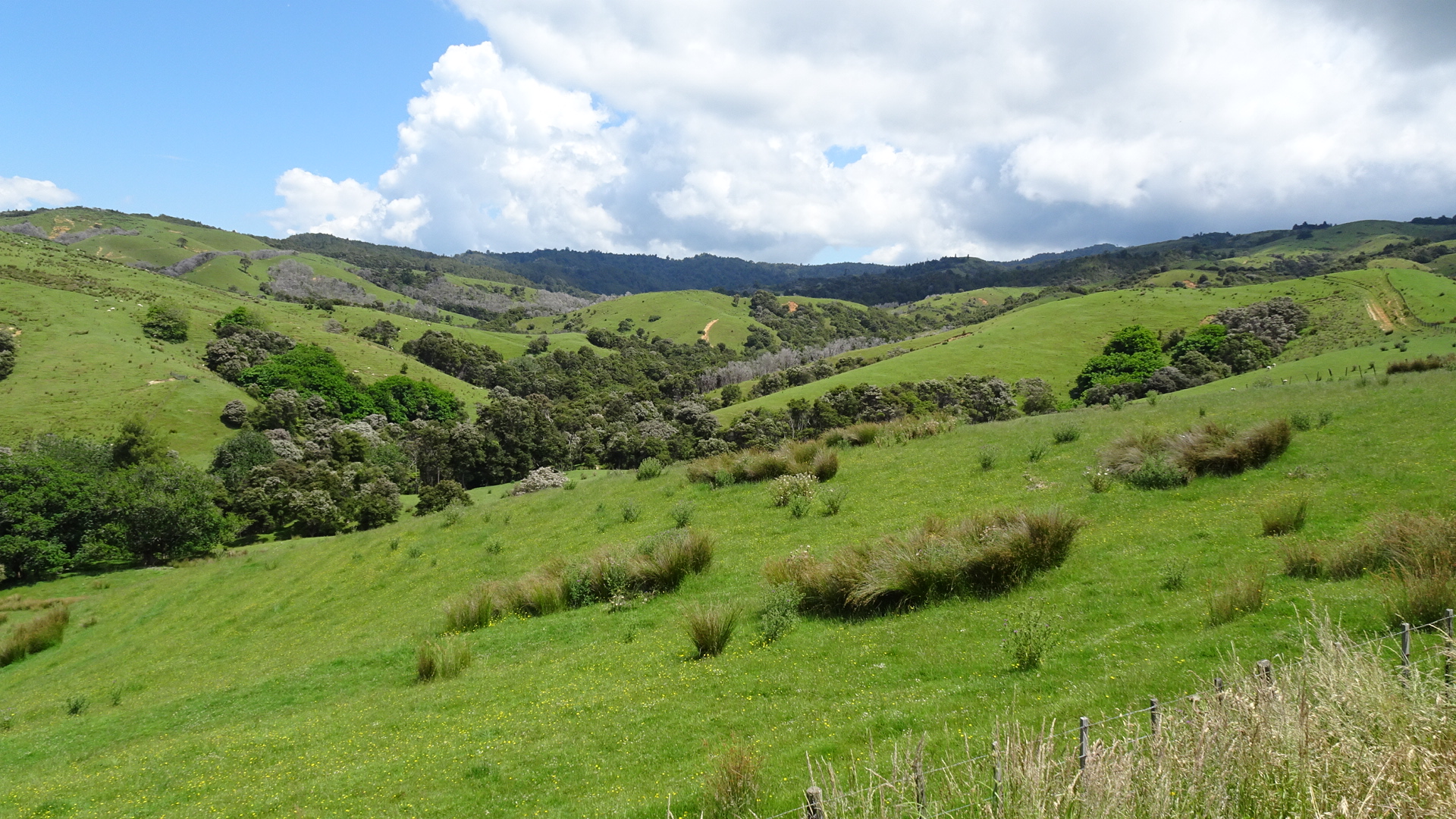 0E7A0D47-77CB-436E-AF88-F4674F2B5BC8