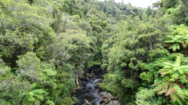 11CF8BE2-6058-4BE6-B34C-4C5746C50E84