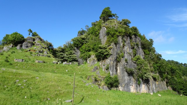 13F45AC4-24EE-47E5-9D17-EB8606C3513F