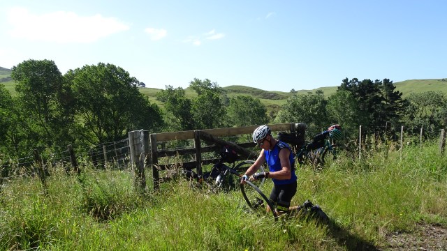 1B0BC416-86E3-4156-BB9C-3680F04F9049