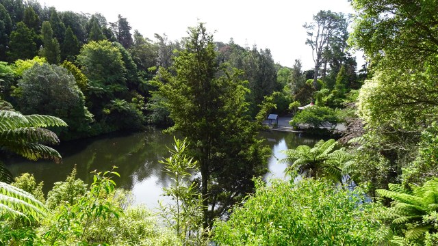 1FB76D0A-F244-4315-8329-CBDE76C27BDE