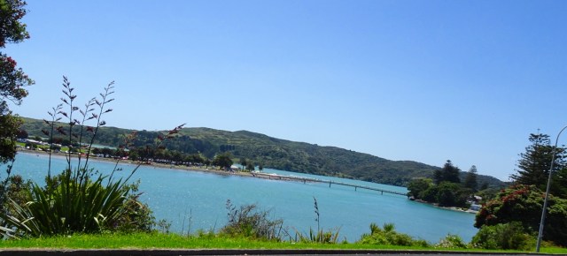 2052A185-640D-4454-9186-D5F7334D1696