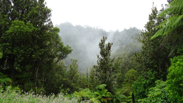 28550974-B9A4-4F8D-9601-09A1916EDEC5