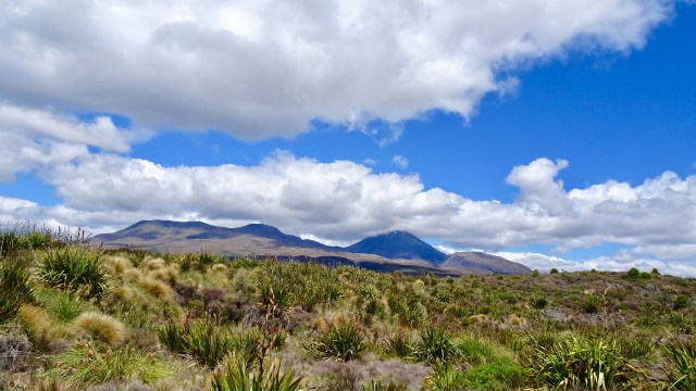 34205F60-AD35-4BFA-8839-7A4AD9B2183D