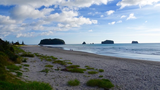 3452437B-9758-47D9-96C1-B381EC74F27B