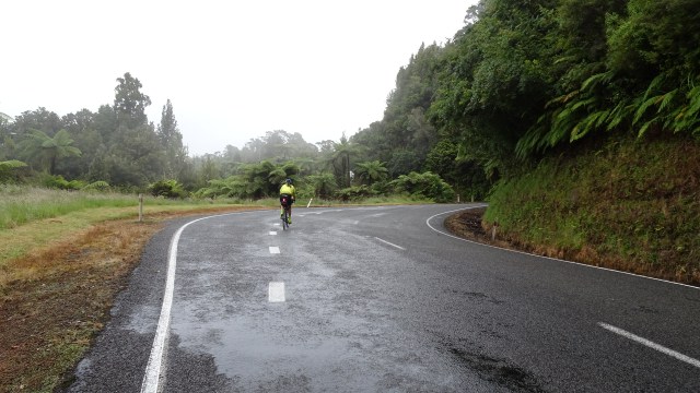 35F0F03F-09E1-4511-B661-3AFB1B8F3C1D